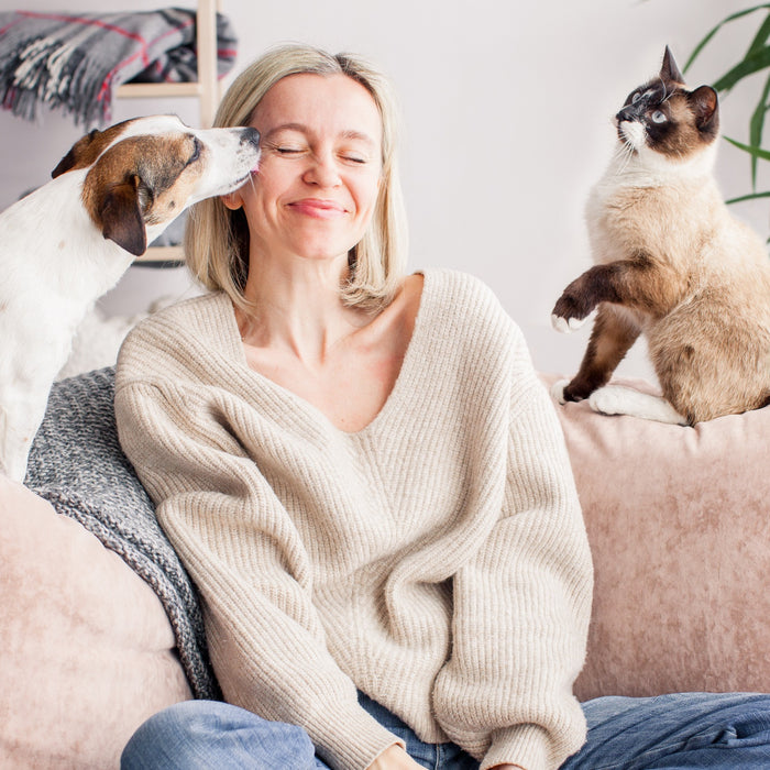 20 curiosità da sapere su cani e gatti - Vol 1