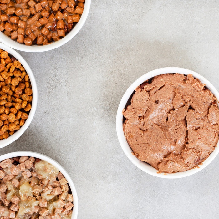 Alimentazione secca vs. umida: quale scegliere?