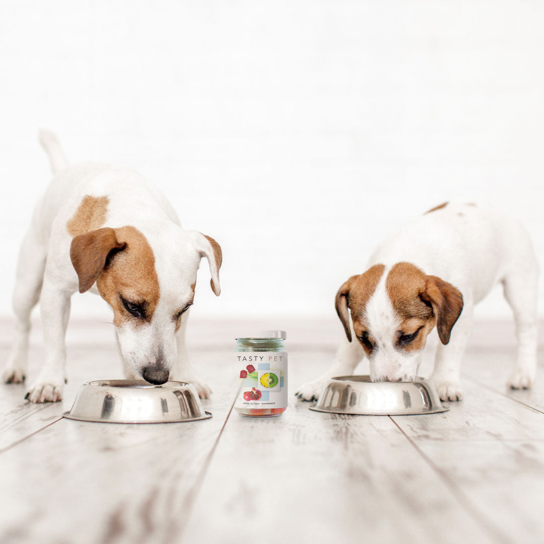 Volevamo che i nostri animali mangiassero come noi...