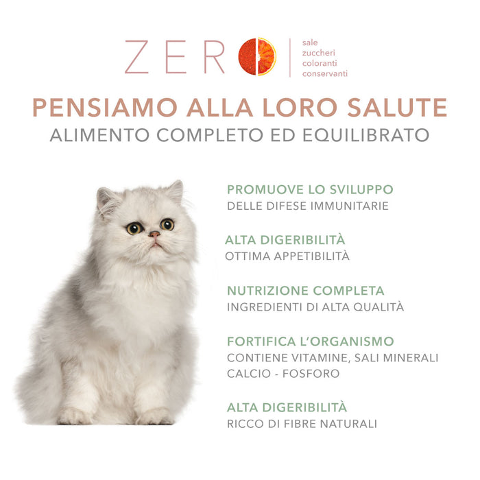 Tasty Pet Confezione di Alimento Completo Umido per Gatti - 5601 Polpette al sugo Maiale Mela e Zucca